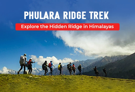 Phulara Ridge Trek - Explore the Hidden Ridge in Himalayas